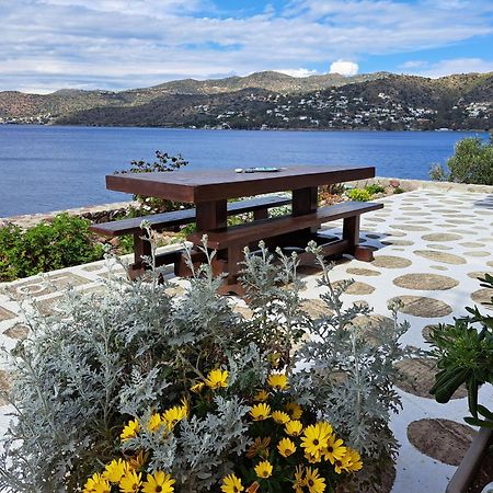 Almyra Seaside Villa Perdika  Værelse billede