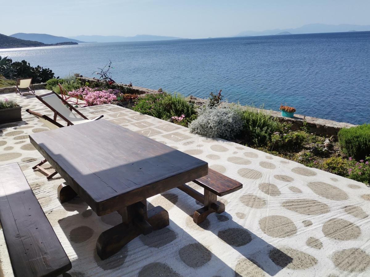 Almyra Seaside Villa Perdika  Eksteriør billede