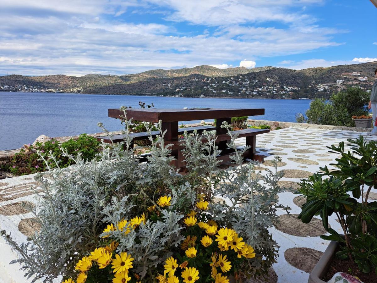 Almyra Seaside Villa Perdika  Eksteriør billede