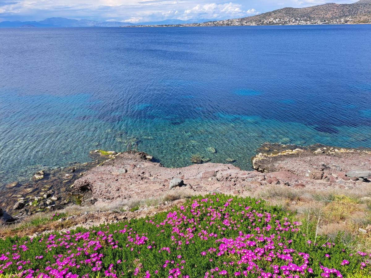 Almyra Seaside Villa Perdika  Eksteriør billede