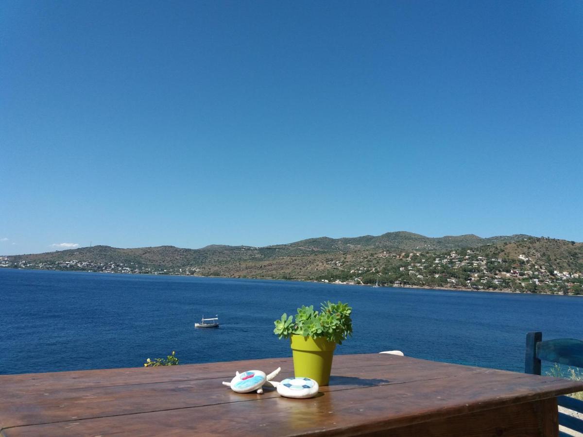 Almyra Seaside Villa Perdika  Eksteriør billede